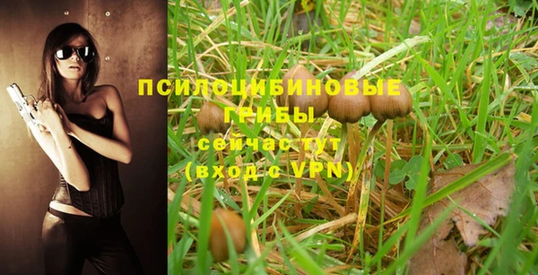 эйфоретик Волоколамск