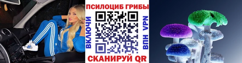 Псилоцибиновые грибы Magic Shrooms  Купить закладки  Бугульма 